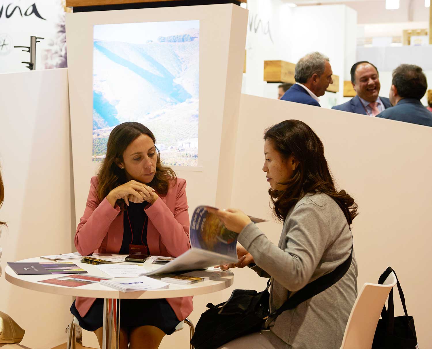 contacte-con-compradores